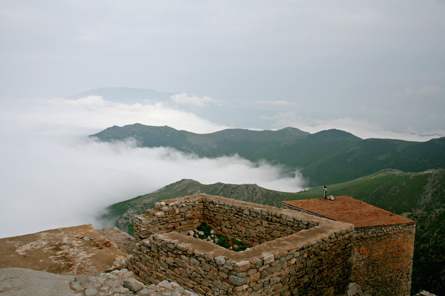 Fotografie von Accordbg für DesignCrowd (Community Contests) | Design #8954237