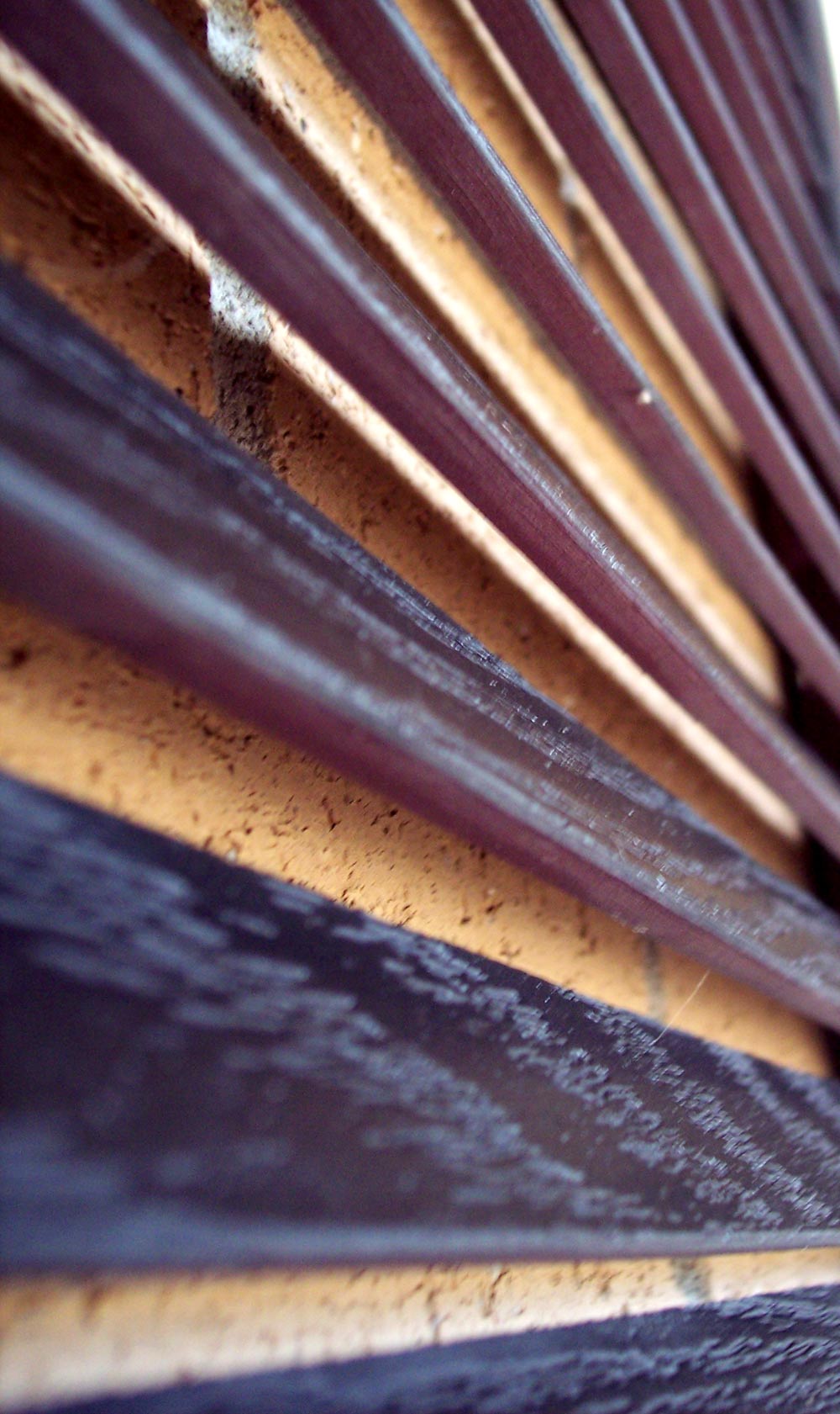 Photography by mindy3051 for DesignCrowd (Community Contests) | Design #8950927