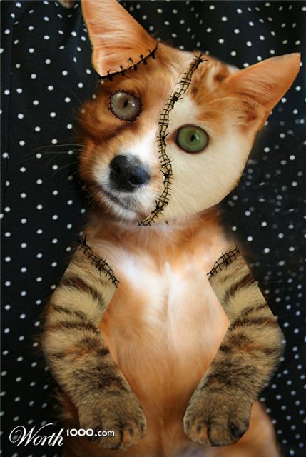 Photoshop Design by vhbeautygirl
