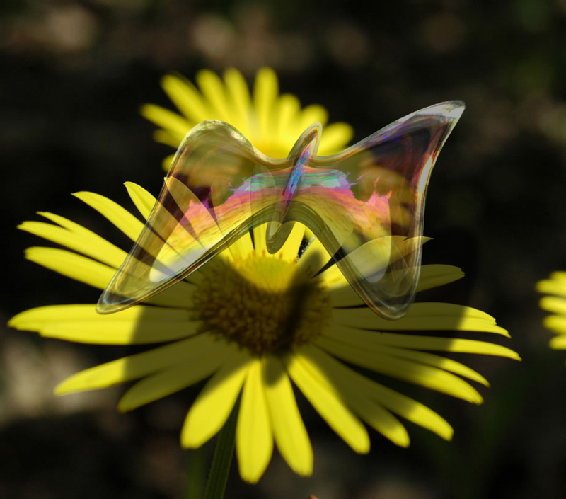 Photoshop Design by Funkiote for DesignCrowd (Community Contests) | Design #8947559