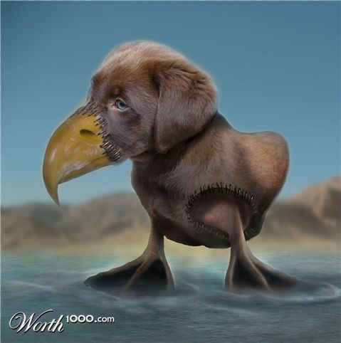 Photoshop Design by Ram1012