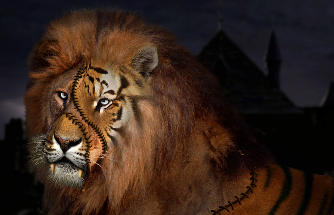 Photoshop Design by Matrixx10 for DesignCrowd (Community Contests) | Design #8948944