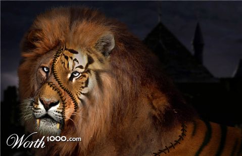 Photoshop Design by Matrixx10