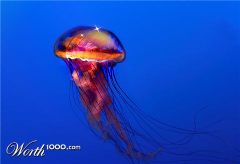 Photoshop Design by tsitrA