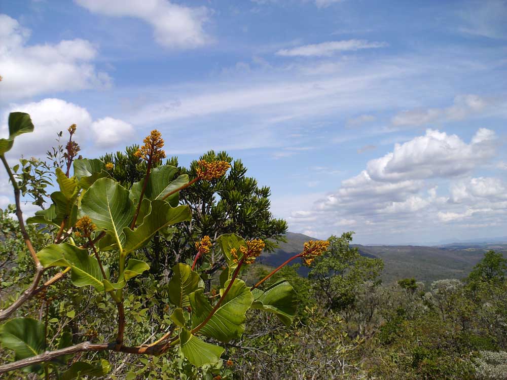 Fotografía por TRANSCENDENTalMAN para DesignCrowd (Community Contests) | Diseño #8954274