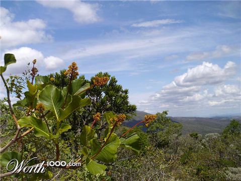 Photography by TRANSCENDENTalMAN