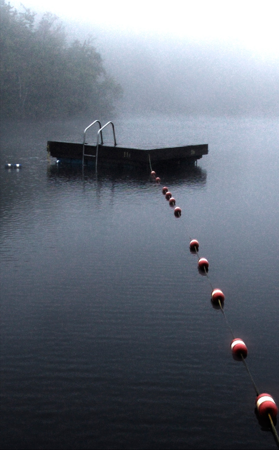 Photography by lalaland437 for DesignCrowd (Community Contests) | Design #8950887