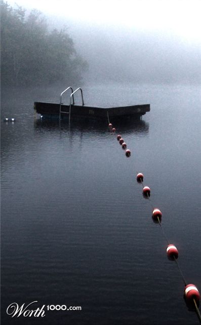 Photography by lalaland437