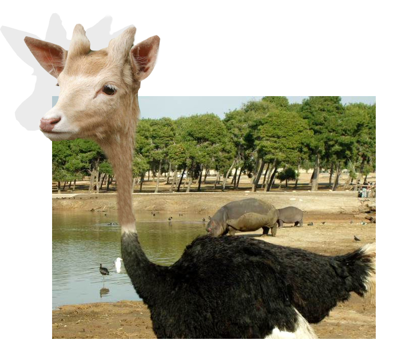 Design Photoshop par didiblum pour DesignCrowd (Community Contests) | Design #8955887