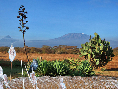 Photoshop Design by patatten for DesignCrowd (Community Contests) | Design #8951168