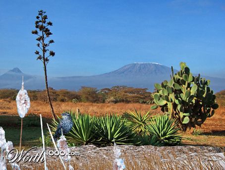 Photoshop Design by patatten