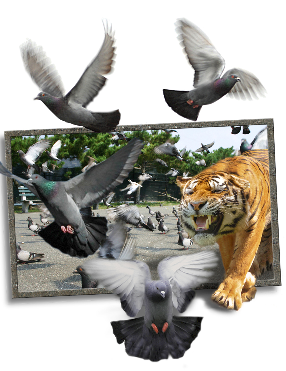 Diseño de Photoshop por Biddee para DesignCrowd (Community Contests) | Diseño #8955903