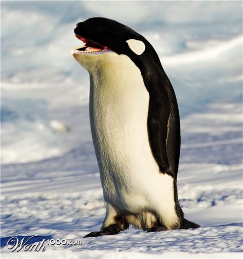 Photoshop Design by markquimby82