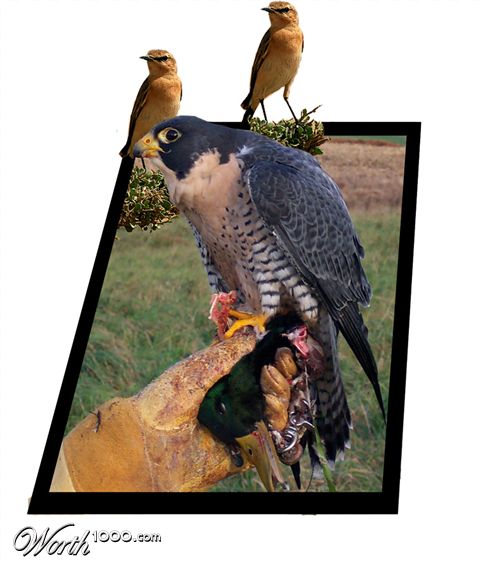 Photoshop Design by gear01d