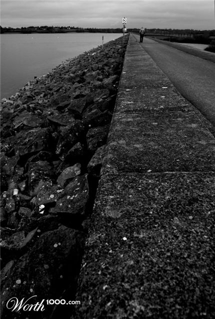 Photography by danielfellowes