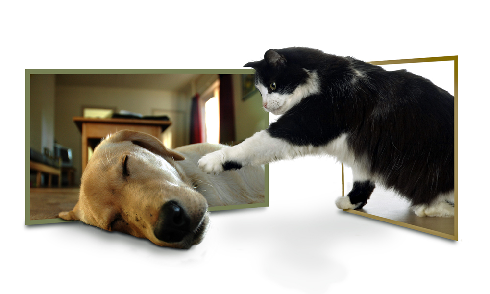 Diseño de Photoshop por PixelTreason para DesignCrowd (Community Contests) | Diseño #8955973