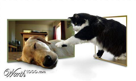 Photoshop Design by PixelTreason