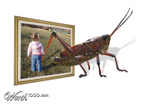 Photoshop Design by PinkDog