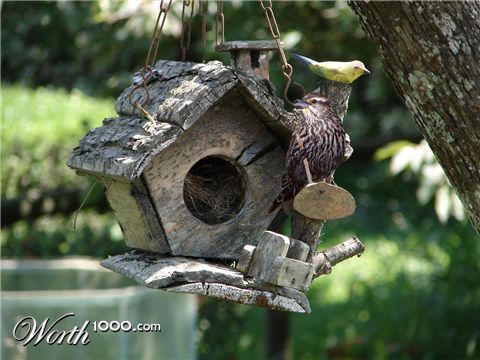 Photoshop Design by NuckleBerry6