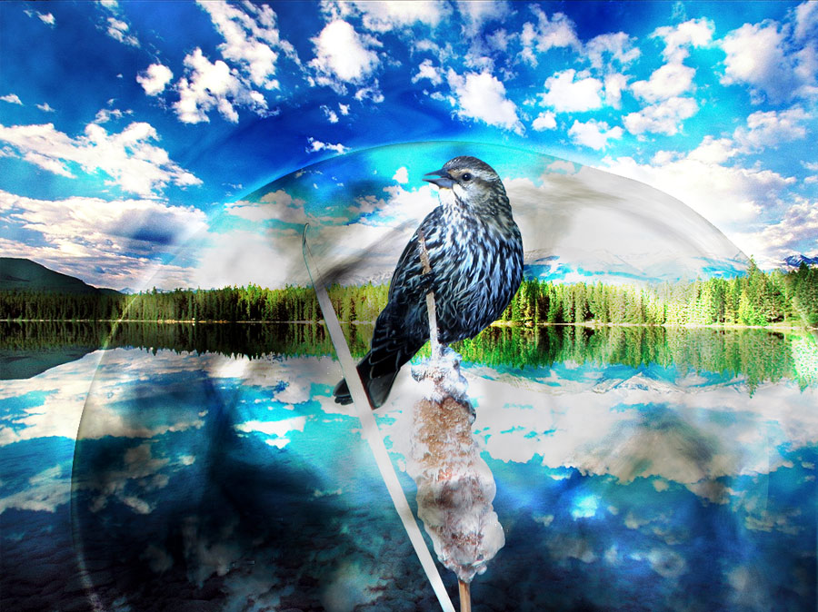 Photoshop Design by DukeBlueMH for DesignCrowd (Community Contests) | Design #8951216