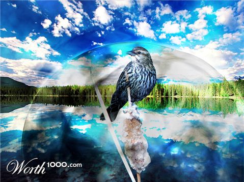 Photoshop Design by DukeBlueMH