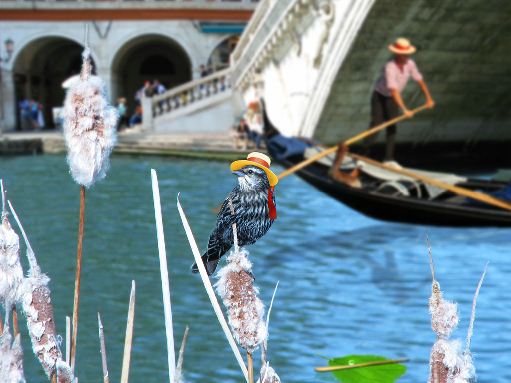 Photoshop-Design von Kleston für DesignCrowd (Community Contests) | Design #8951252