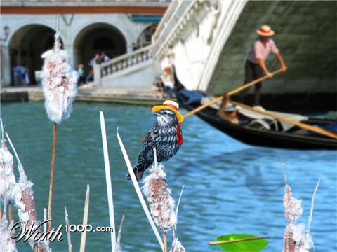 Photoshop Design by Kleston