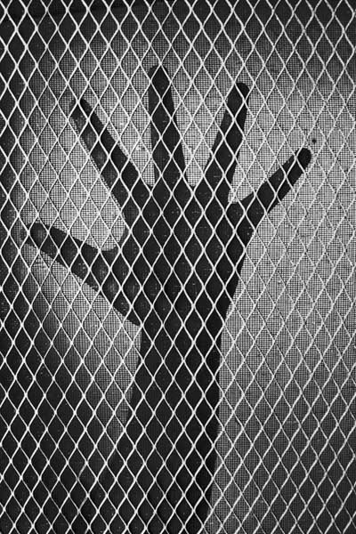 Photography by eslwinshot for DesignCrowd (Community Contests) | Design #8955804