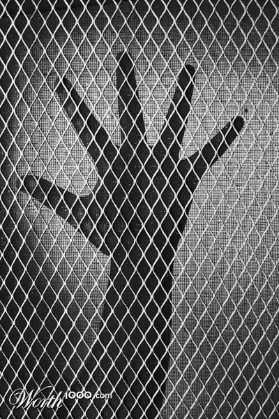 Photography by eslwinshot