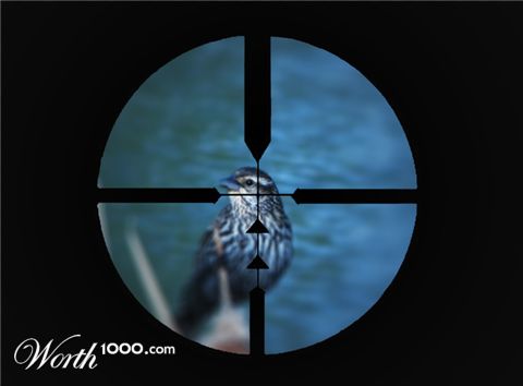 Photoshop Design by Acrawf