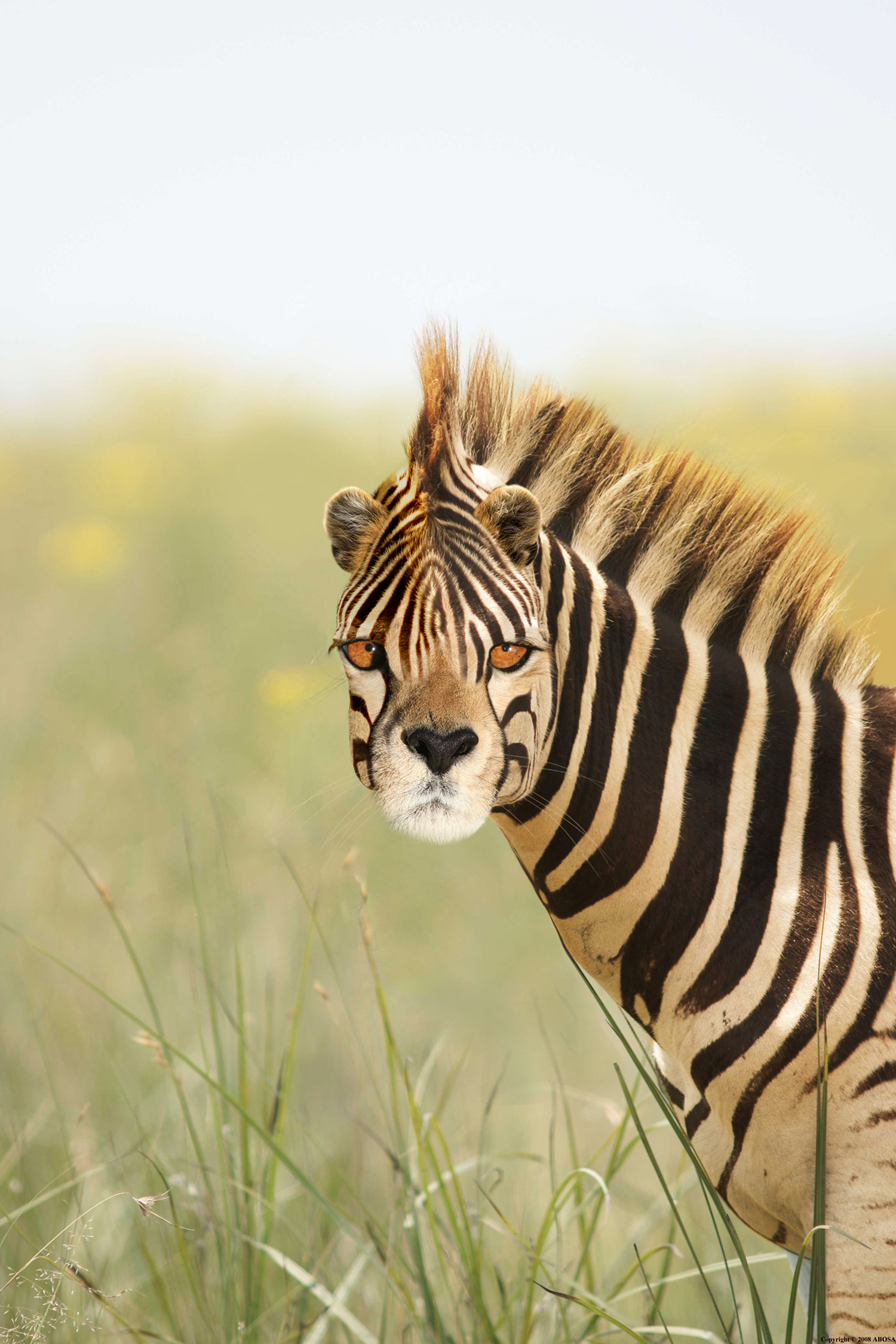 Design Photoshop par 4evrblu pour DesignCrowd (Community Contests) | Design #8947723