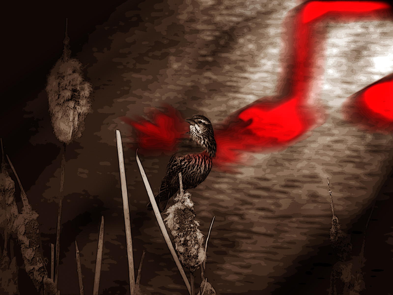 Photoshop-Design von bagraves1980 für DesignCrowd (Community Contests) | Design #8951228