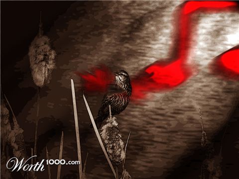 Photoshop Design by bagraves1980