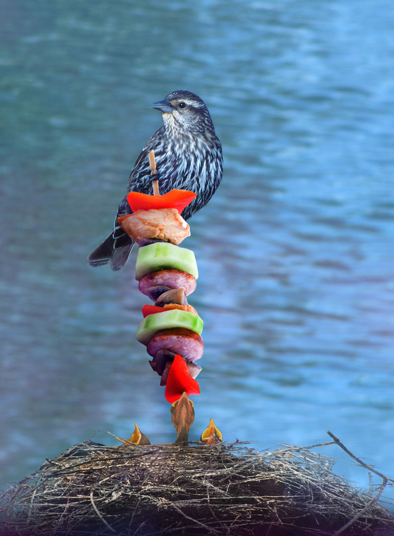 Photoshop Design by gabriellax for DesignCrowd (Community Contests) | Design #8951219