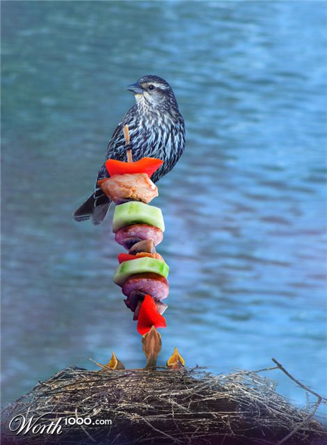 Photoshop Design by gabriellax