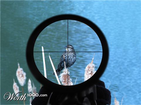 Photoshop Design by TeMo80