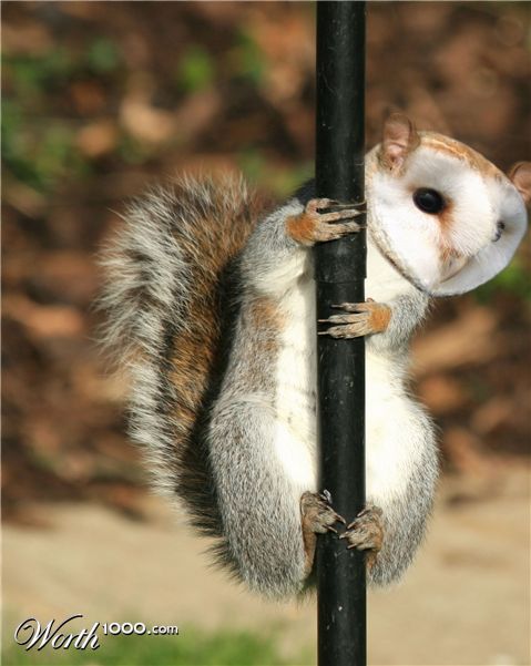 Photoshop Design by haileyniemand