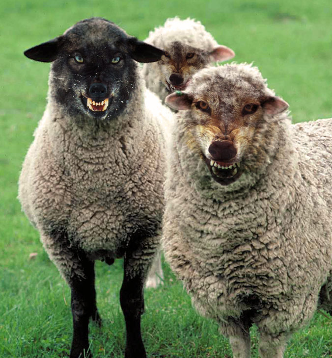 Photoshop Design by castiza for DesignCrowd (Community Contests) | Design #8947798