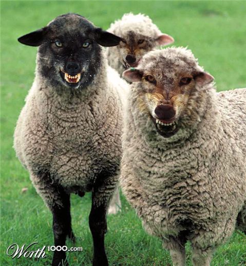 Photoshop Design by castiza