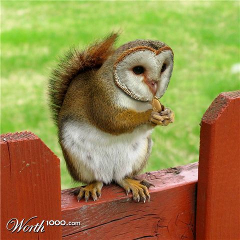 Photoshop Design by underworth