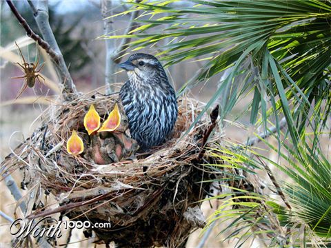 Photoshop Design by gdsworld