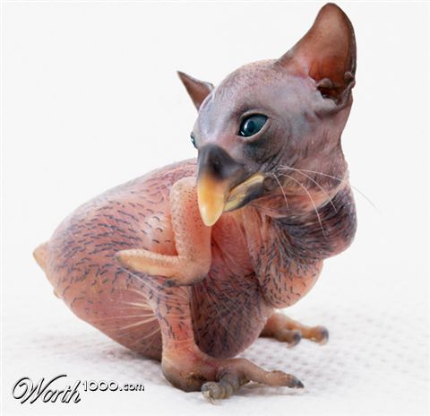 Photoshop Design by sugarcane