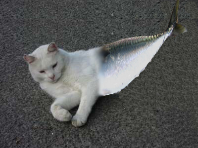 Photoshop-Design von joemh1810 für DesignCrowd (Community Contests) | Design #8947815