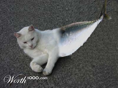 Photoshop Design by joemh1810