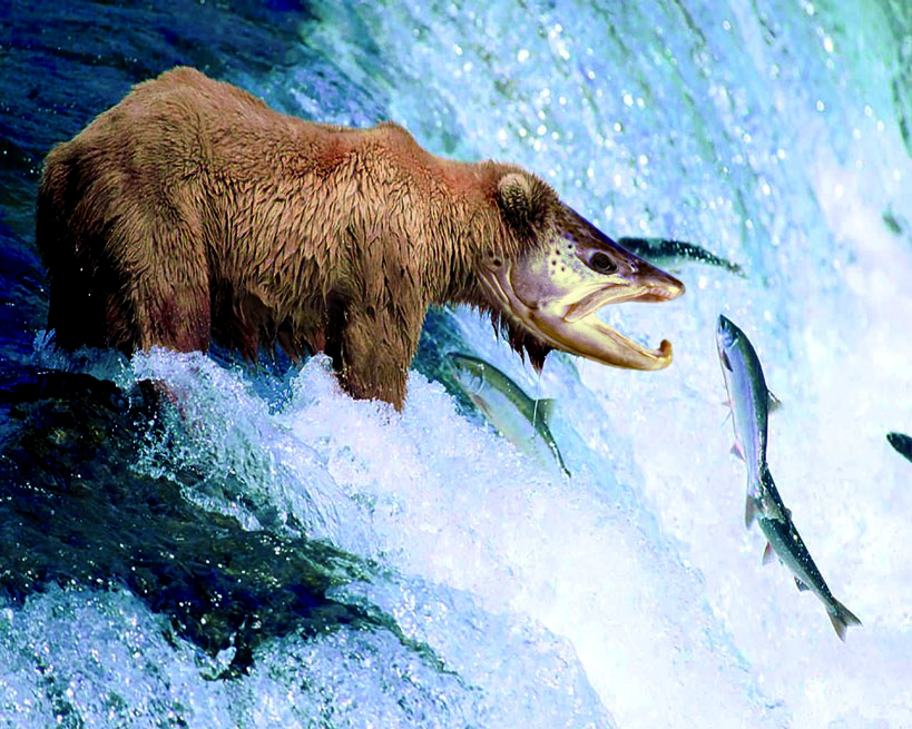 Diseño de Photoshop por DeLaars para DesignCrowd (Community Contests) | Diseño #8947935