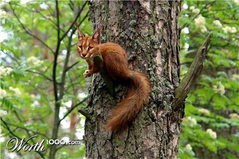 Photoshop Design by mystic71