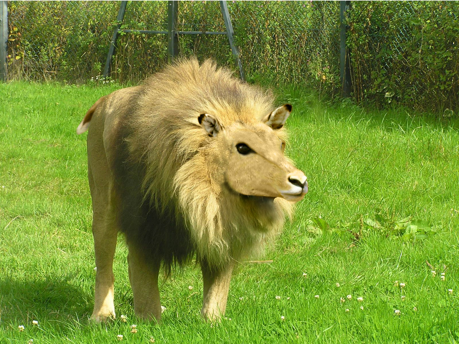 Photoshop Design by perroloco for DesignCrowd (Community Contests) | Design #8947899