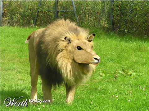 Photoshop Design by perroloco