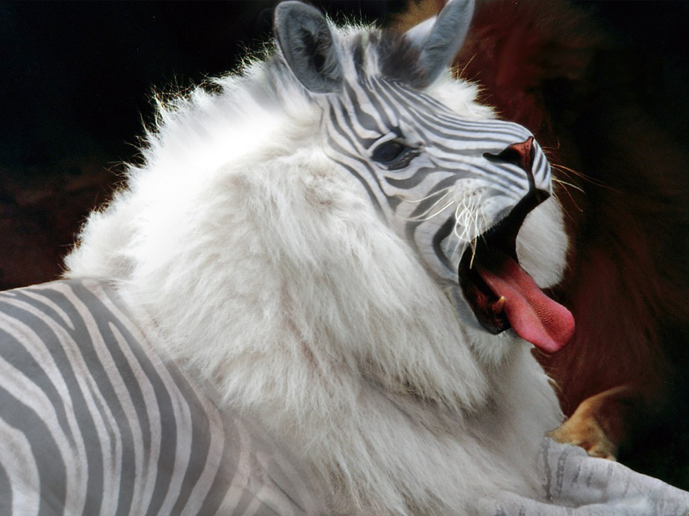 Photoshop Design by CraftLord for DesignCrowd (Community Contests) | Design #8947845