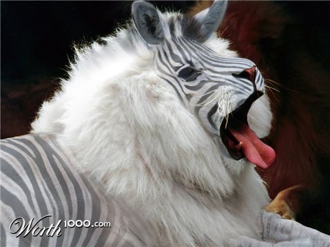 Photoshop Design by CraftLord